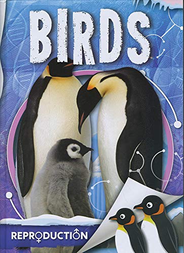 Smithsonian Institution-Birds