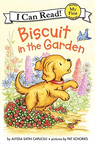 Jean Little-Biscuit in the garden