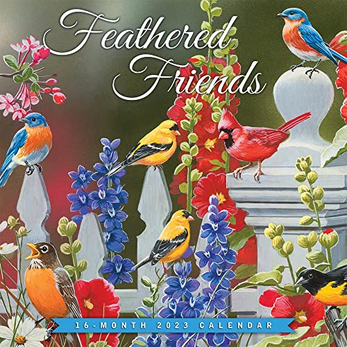 Feathered Friends 2023 Square Hopper - Browntrout