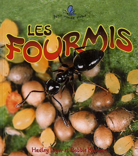 Les Fourmis / The Life Cycle of an Ant (Petit Monde Vivant / Small Living World) - Hadley Dyer