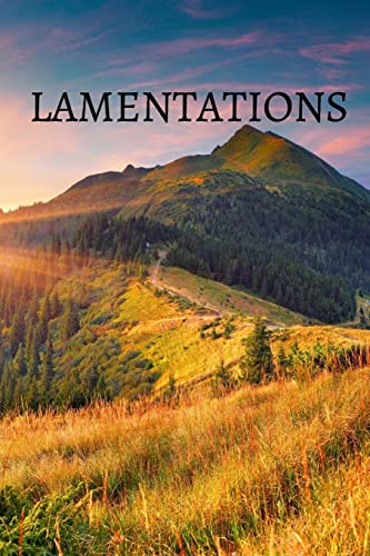 Lamentations Bible Journal - Shasta Medrano