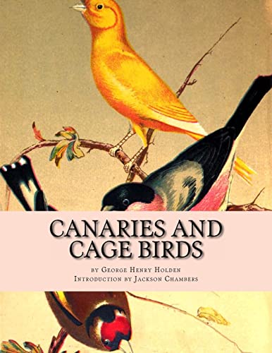 George Henry Holden-Canaries and Cage Birds
