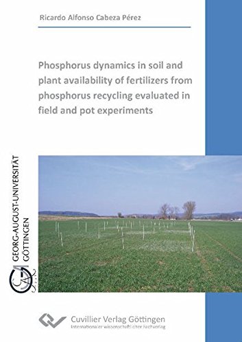 Phosphorus dynamics in soil and plant availability of fertilizers from phosphorus recycling evaluated in field and pot experiments - Ricardo Alfonso Cabeza Pérez