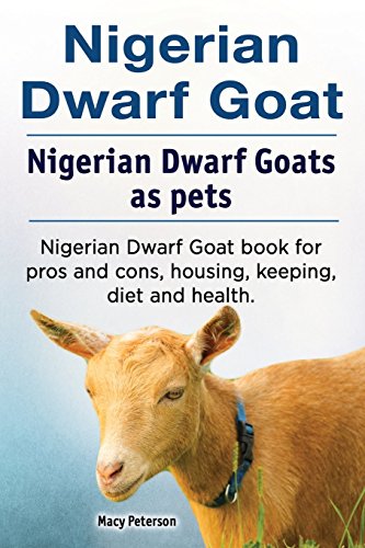 Macy Peterson-Nigerian Dwarf Goat. Nigerian Dwarf Goats as pets. Nigerian Dwarf Goat book for pros and cons, housing, keeping, diet and health.