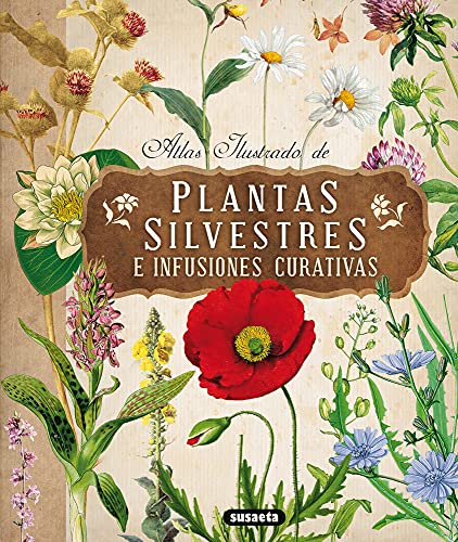 Atlas Ilustrado de Plantas Silvestres e Infusiones Curativas - Eliska Tomanová