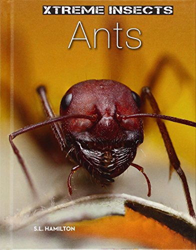 Sue L. Hamilton-Ants