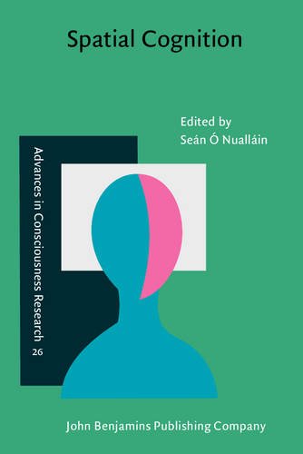 Spatial Cognition (Advances in Consciousness Research) - Sean O Nuallain