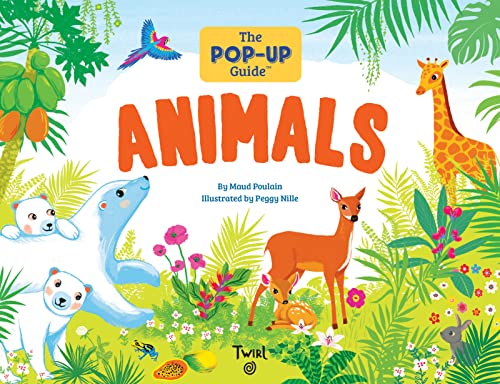 Maud Poulain-Pop-Up Guide