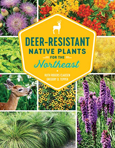 Ruth Rogers Clausen-Deer-Resistant Native Plants for the Northeast