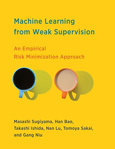 Machine Learning from Weak Supervision - Masashi Sugiyama