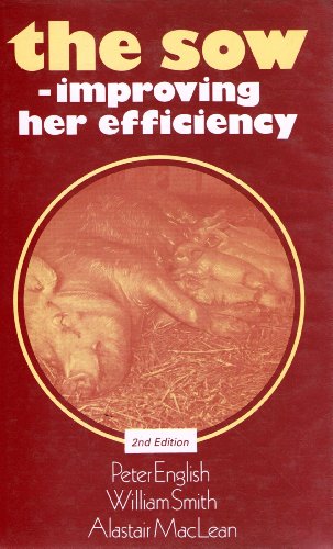 Sow - improving her efficiency - Alistair  MacLean