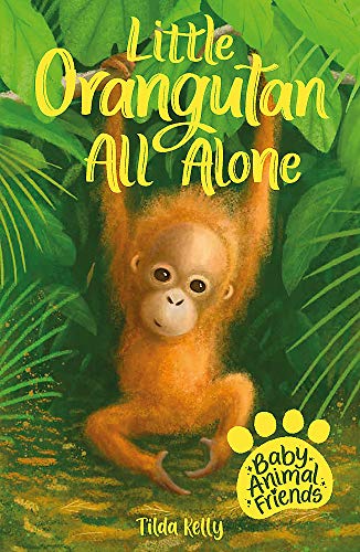 Little Orangutan All Alone - Tilda Kelly