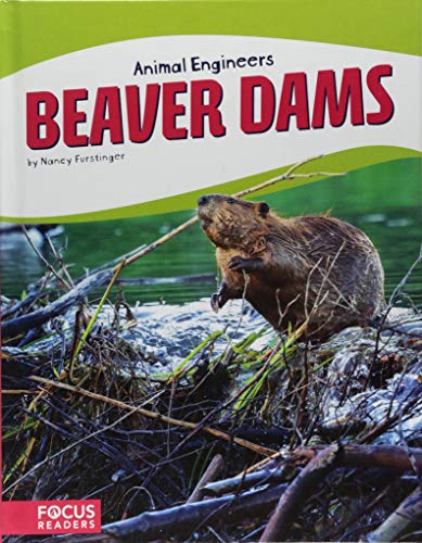 Nancy Furstinger-Beaver Dams