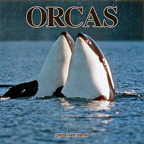 BrownTrout Publishers-Orcas 2008 Square Wall Calendar