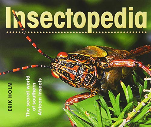 Erik Holm-Insectopedia
