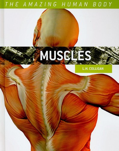 L. H. Colligan-Muscles