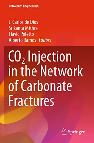 J. Carlos de Dios-CO2 Injection in the Network of Carbonate Fractures