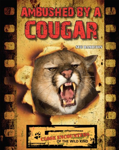 Sue L. Hamilton-Ambushed by a cougar
