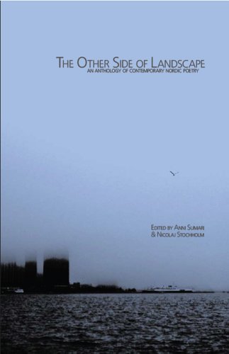 The Other Side of Landscape - Anni Sumari