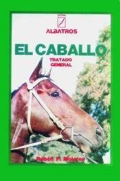 El Caballo/The Horse - Ruben Moleres