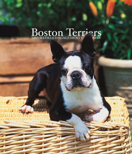 Browntrout Publishers-Boston Terriers 2007 Weekly Calendar