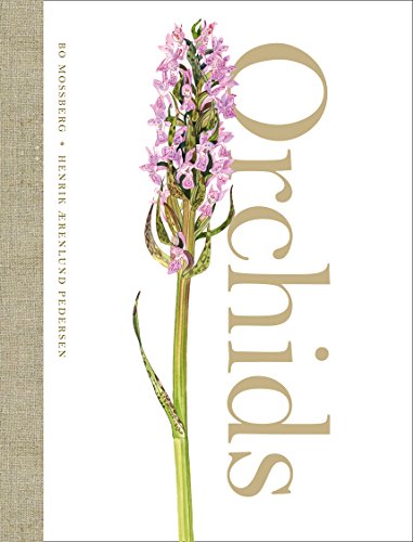 Orchids - Henrik Aerenlund Pedersen
