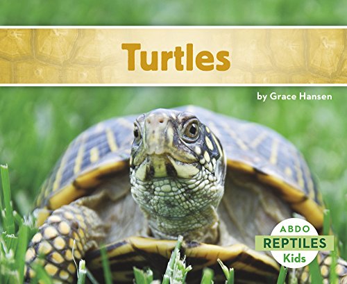 Kathryn Stevens-Turtles