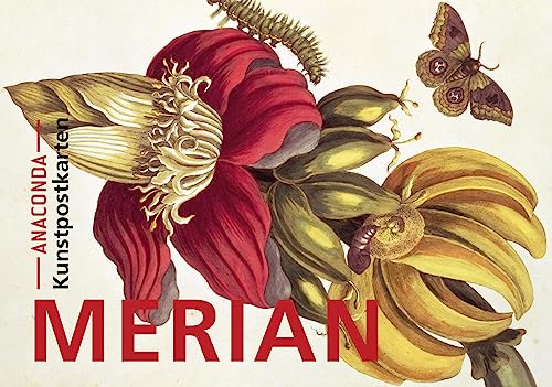 Maria Sibylla Merian-Postkarten-Set Maria Sibylla Merian