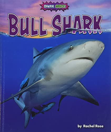 Rachel Rose-Bull Shark