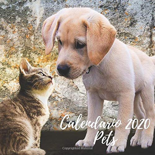 Blackpaper Essentials-Calendario 2020 Pets