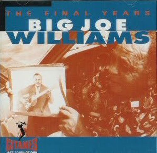 Big Joe Williams - The Final Years