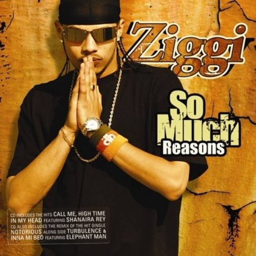 Ziggi - So Much Reasons