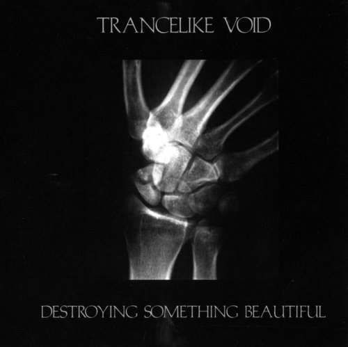Trancelike Void - Destroying Something Beautiful