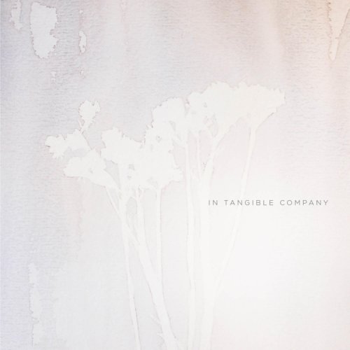 No Stranger - In Tangible Company