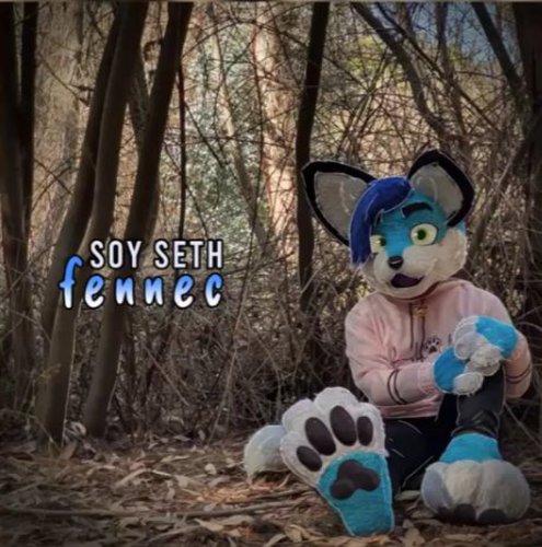 Soy Seth - Fennec