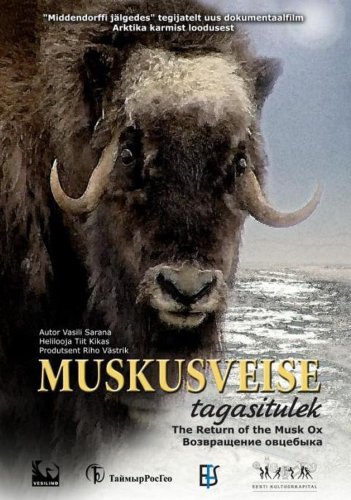 The Return of the Musk Ox (2008)