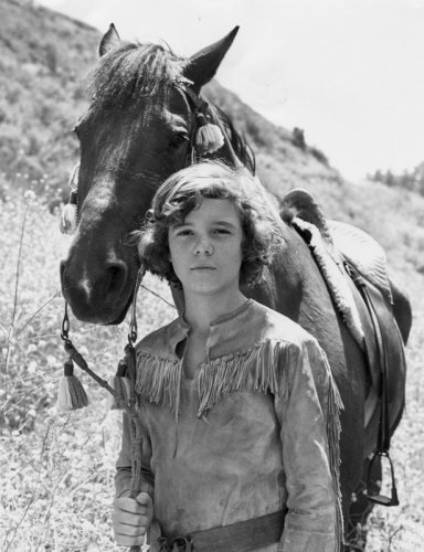 Young Dan'l Boone (1977)