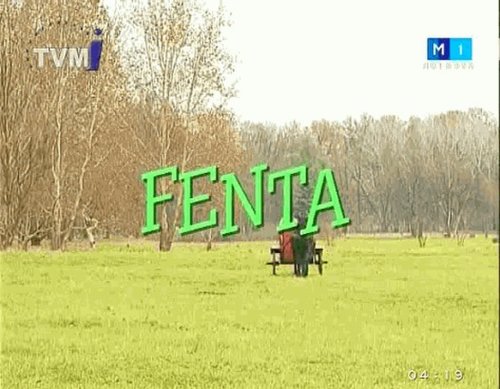 Fenta (2004)