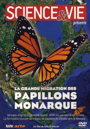 La grande migration des papillons monarque