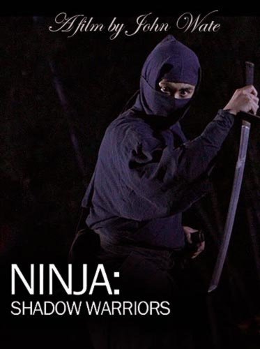 Ninja Shadow Warriors (2012)