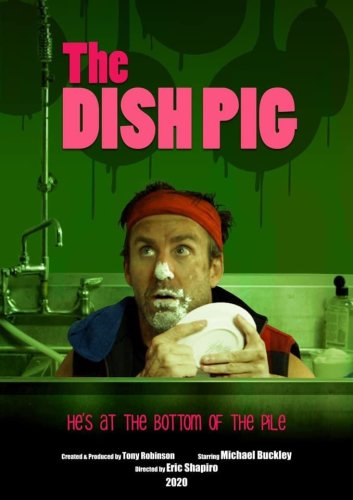 The Dish Pig