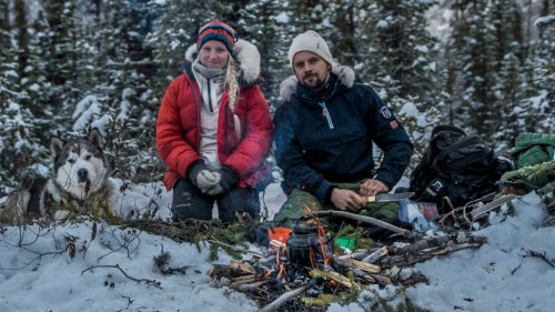 Hard vinter (2019)