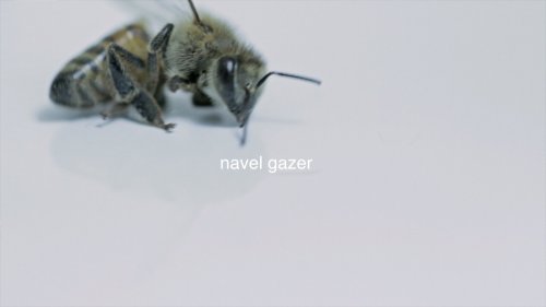 Navel Gazer (2013)