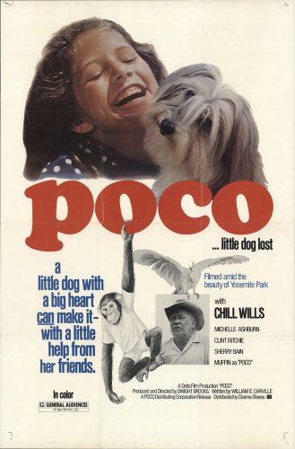 Poco... Little Dog Lost (1977)