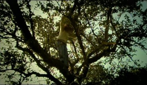 Aline (2003)