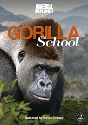 Gorilla School (2010)
