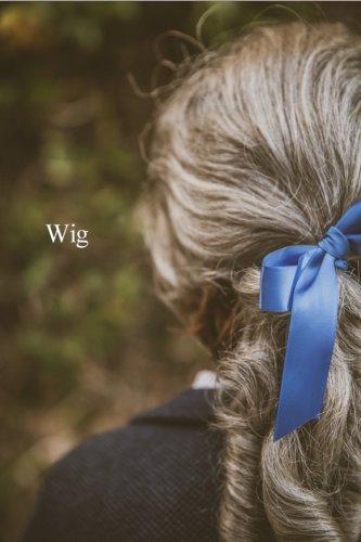 Wig (2015)