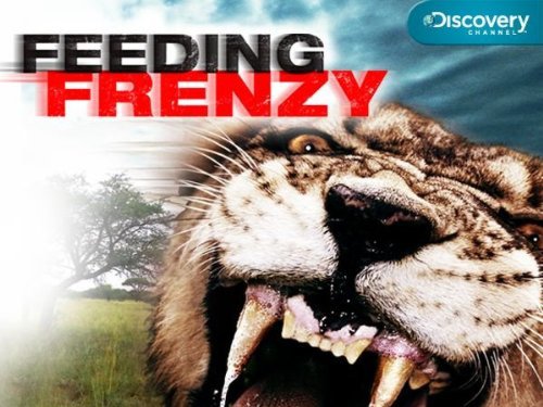 Feeding Frenzy (2008)