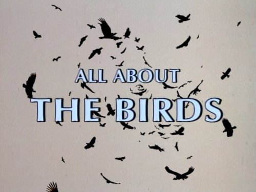 All About 'The Birds'