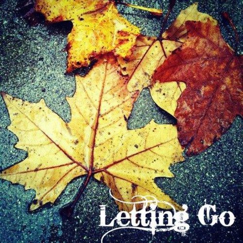 Letting Go (2014)